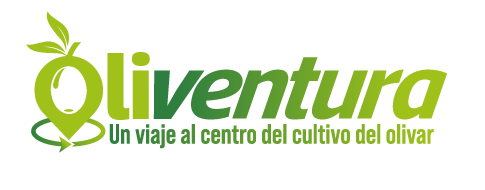 OLIVENTURA | Un viaje al centro del cultivo del olivar